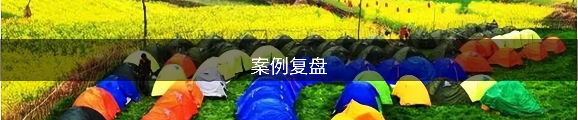 案例复盘